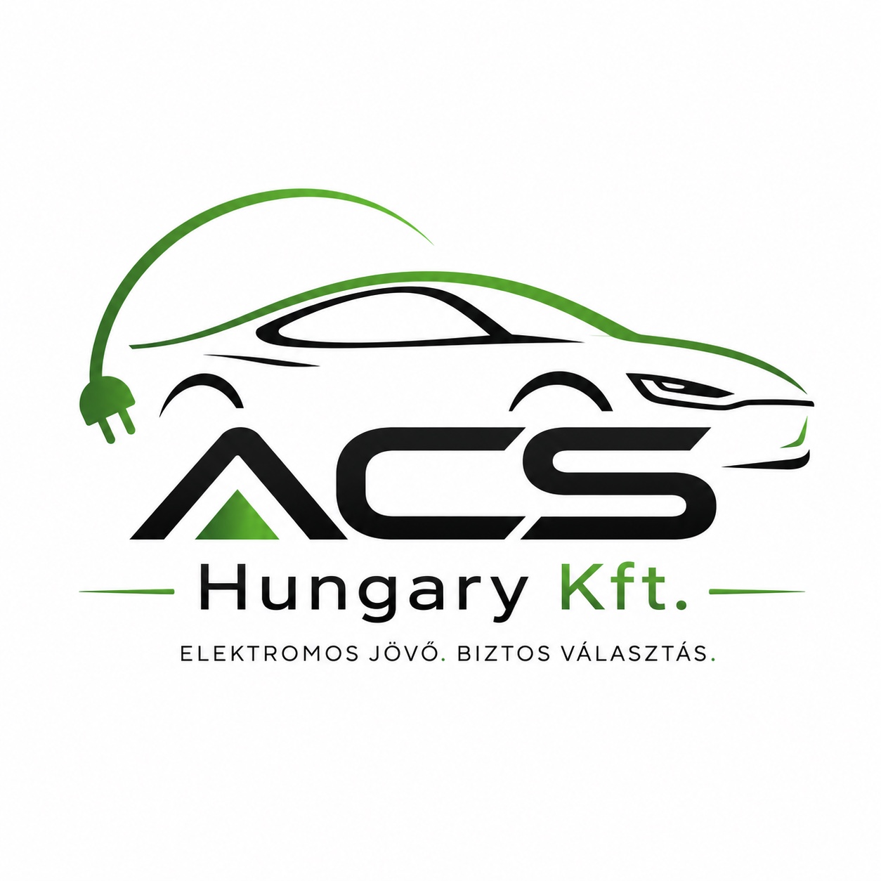 ACS Hungary Kft.
